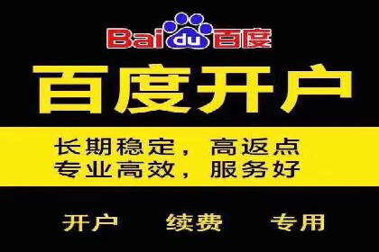 某公司SEM代理策略：实现流量转化